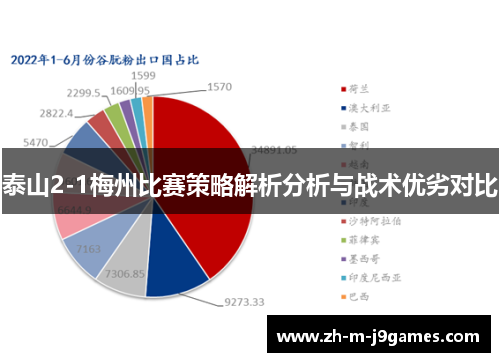 泰山2-1梅州比赛策略解析分析与战术优劣对比